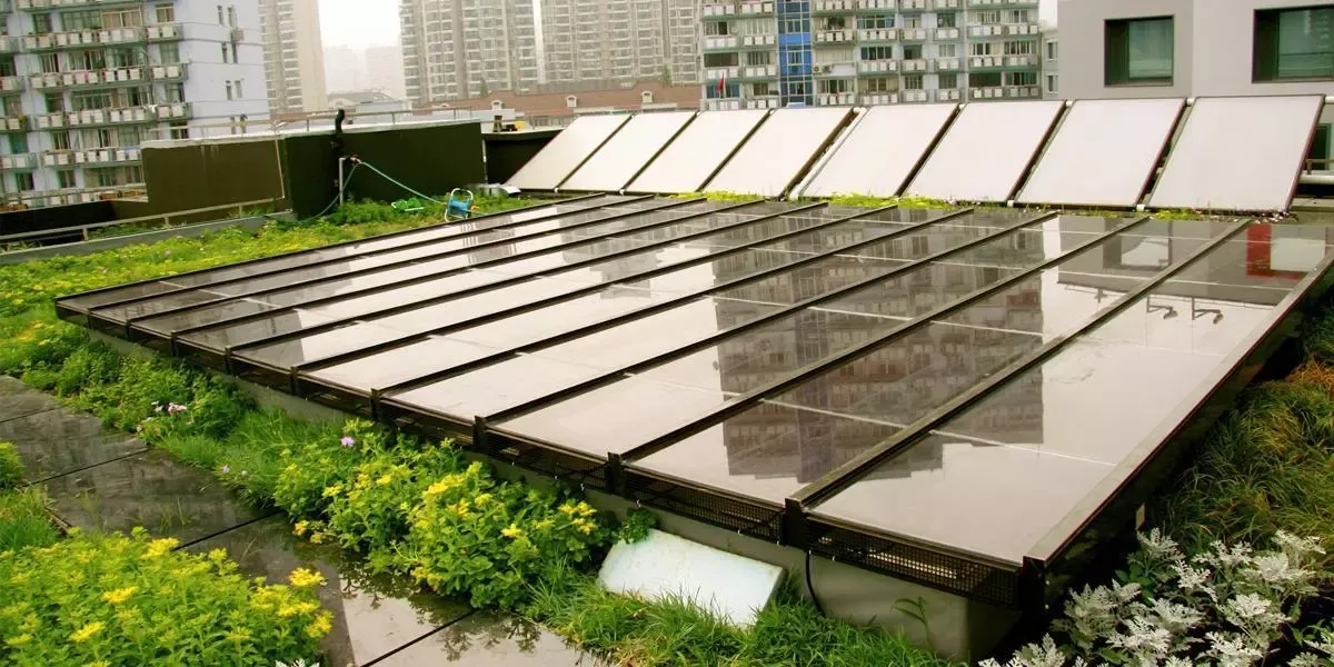 Exterior view of bamboo house skylight incorporating Amorphous Silicon Photovoltaic Technology Glass by Onyx Solar