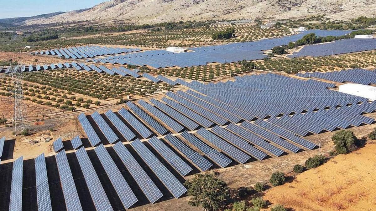 Photo of a solar plant / Axel Alvarez