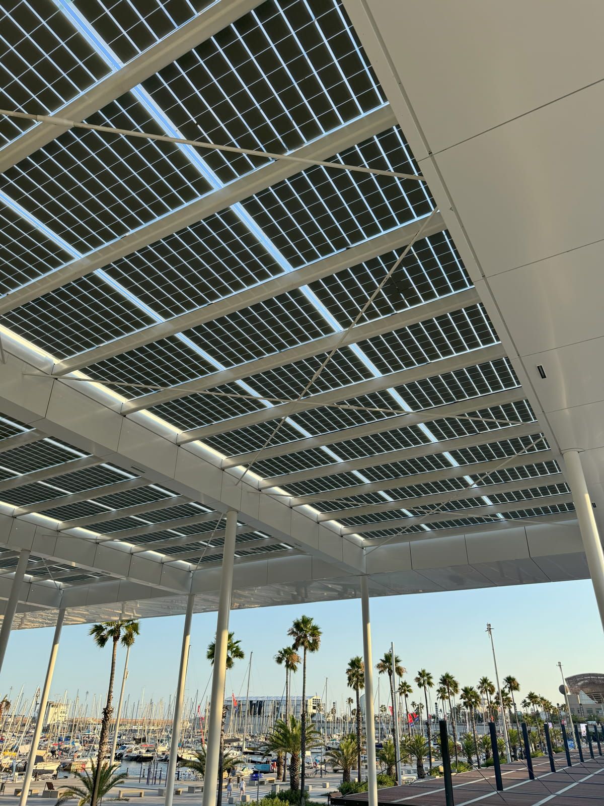 Interior view of Olimpic Port canopy incorporating Crystalline Silicon Photovoltaic Technology Glass by Onyx Solar 