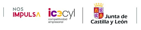 Junta de Castilla y León & Instituto para la Competitividad Empresarial de Castilla y León (ICECYL)  banner